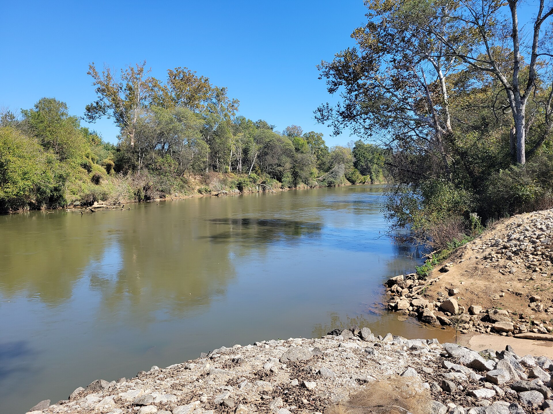 The Chattahoochee River winding through forested banks in Georgia, where a massive fish kill has been reported