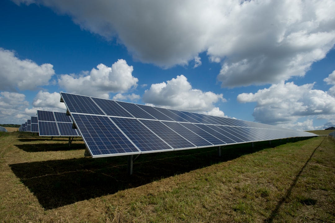 Rows of solar panels at a large solar energy farm under a clear sky, illustrating Georgia's shift toward renewable energy