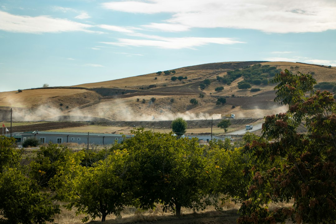 Smoke rises from burning olive trees in a West Bank grove, while a journalist lies injured nearby.