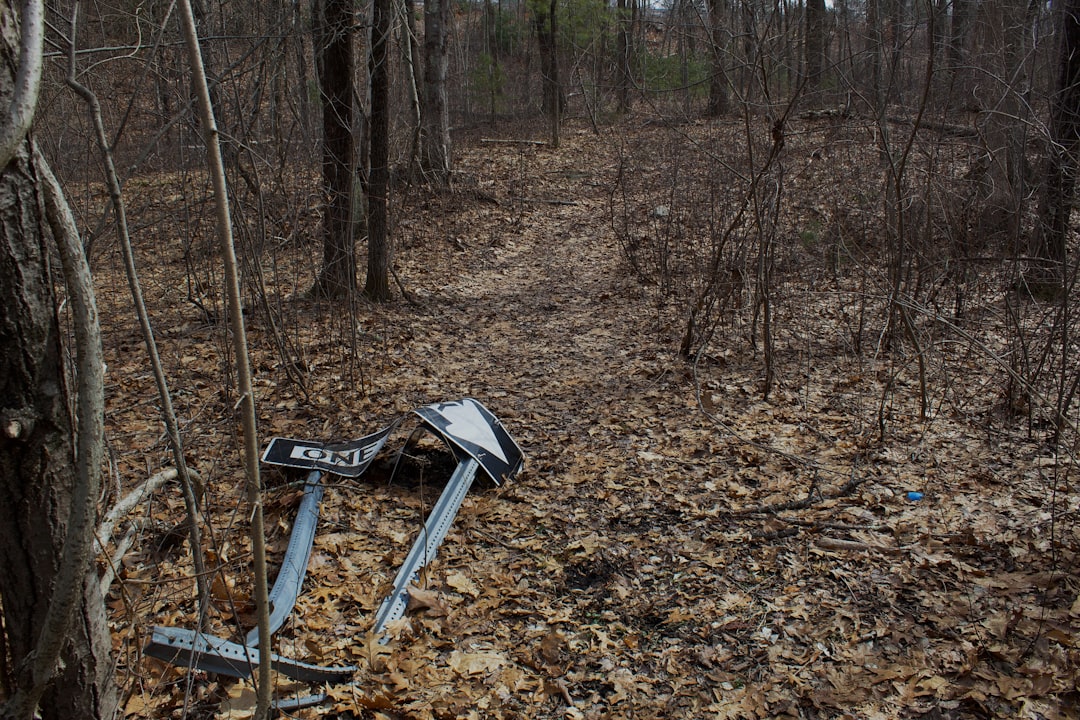 Emergency responders work at the site of a small plane crash in a wooded area in Dawson County, Georgia.